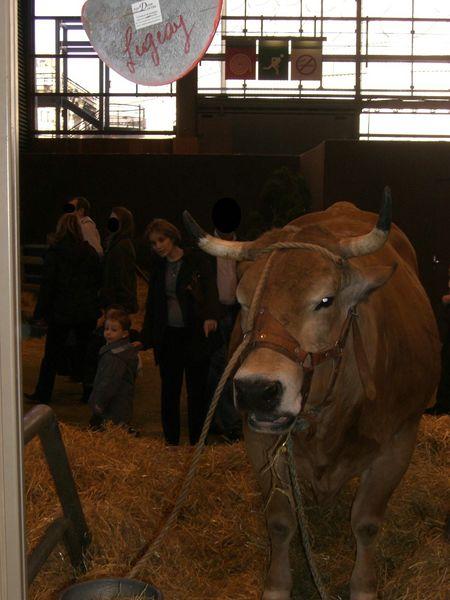 toujours au salon de l'agriculture...